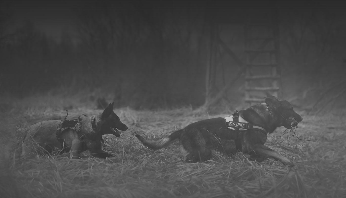 Fully Trained Police K-9 in CANADA
