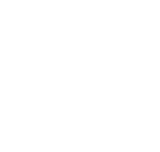 Protection Dogs for Sale in Canada